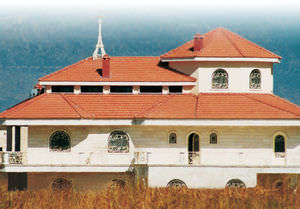 french roof tile / clay