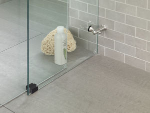 shower hinge / door / steel