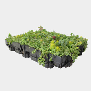 green roof kit