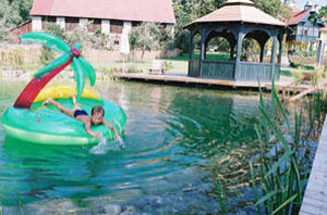 in-ground swimming pool / stone / natural / outdoor