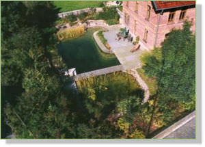 in-ground swimming pool / stone / natural / outdoor