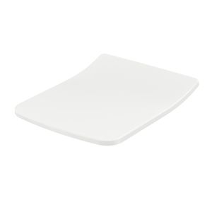resin toilet seat