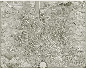 contemporary wallpaper / polyester / map / urban motif