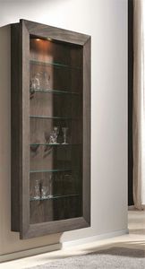 contemporary china cabinet / wooden