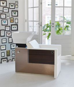 leather shampoo chair