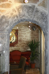decorative coating / indoor / wall / for partition walls