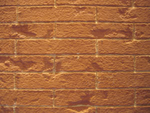 decorative coating / for cladding / outdoor / for walls