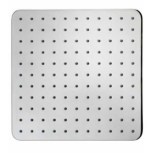 wall-mounted shower head / ceiling-mounted / square