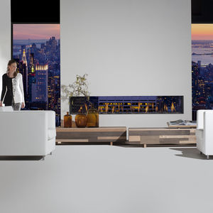 gas fireplace / contemporary / closed hearth / double-sided