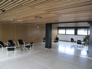 ceiling acoustic panel / wooden / auditorium / commercial