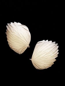 contemporary wall light / porcelain / LED