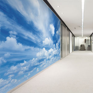 commercial wallcovering / printed / wallpaper look