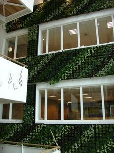 green wall
