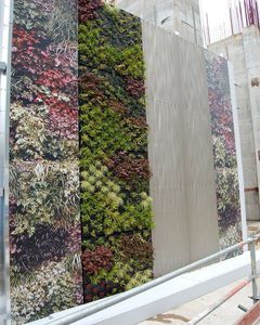 green wall