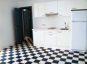 indoor encaustic cement tile / floor / geometric pattern / polished