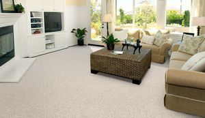 tufted carpet / synthetic / velvet / commercial