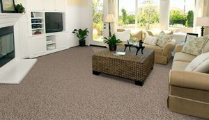 tufted carpet / synthetic / velvet / commercial