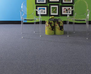 tufted carpet / loop pile / synthetic / tertiary