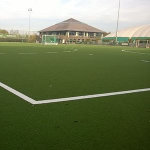 synthetic grass / roll / for athletic fields