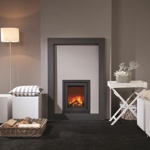 wood fireplace insert / 1-sided