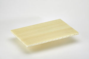 roof sandwich panel / for facades / for walls / for partition walls