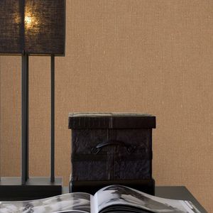 contemporary wallpaper / vinyl / plain / wood look