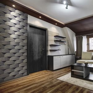 durable wall cladding / concrete / exterior / interior
