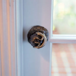 contemporary door knob / bronze