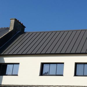 sheet steel roofing / ribbed