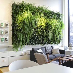 vertical garden with live plants / indoor