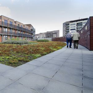 concrete paving slab / anti-slip / pedestrian / textured