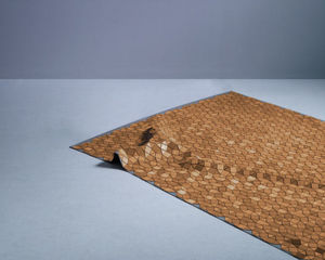 original design rug / patterned / wooden / rectangular