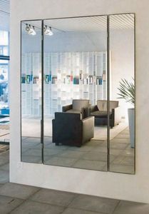 wall-mounted mirror / contemporary / rectangular / steel