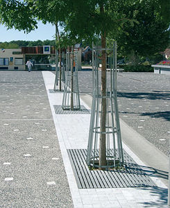 steel tree guard