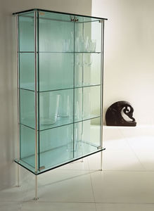 contemporary display case / metal / glass