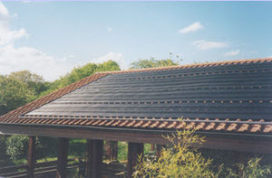swimming pool heating thermal collector