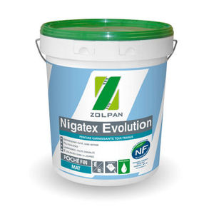 decorative paint / for walls / for indoor use / for outdoor use