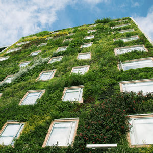 exterior green facade / modular-panel / thermo-laquered / bioclimatic