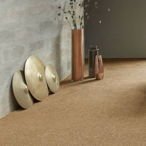 tufted carpet / polyamide / velvet / home