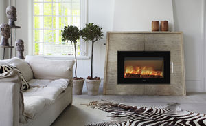 wood fireplace insert / 1-sided