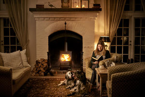 wood heating stove / multi-fuel / contemporary / cast iron