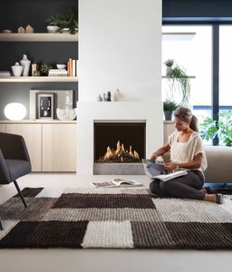 gas fireplace / contemporary / closed hearth / built-in
