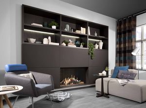 gas fireplace / contemporary / closed hearth / built-in