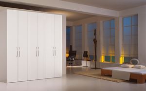contemporary wardrobe / wooden / lacquered wood / with swing doors