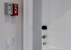 indoor door / swing / laminate / fire-retardant