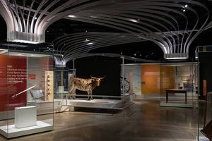 contemporary display case / metal / museum