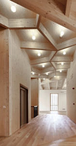 wooden structural panel / solid / cross-laminated