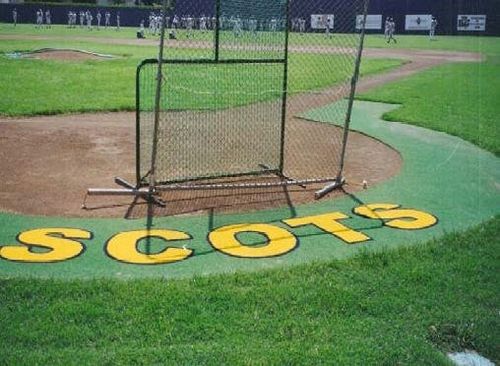 artificial grass for outdoor sports grounds No Fault