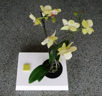 contemporary vase P Vase ccoldsign