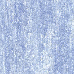 decorative acrylic paint for interior COQUILLANE S&eacute;nid&eacute;co